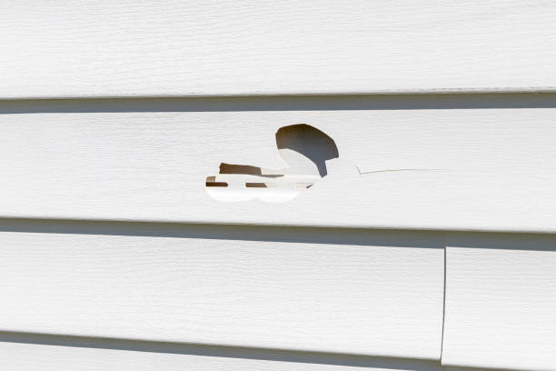 Best Storm Damage Siding Repair  in Ruidoso Downs, NM